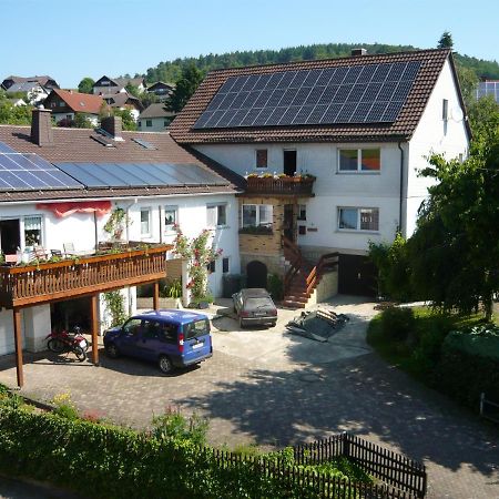 Fewo Nagel Apartment Frankenau Bagian luar foto